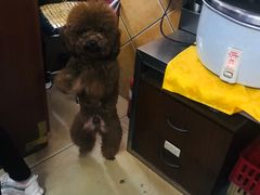 -肥姐美食(同福中路店)