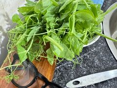 -海关荤豆花(洋河一路店)