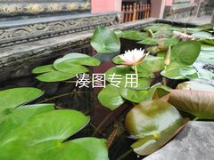 -华丰火锅(双林北横路店)