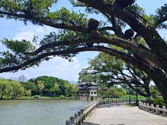 -江心屿景区