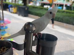 -宠爱我(南山店)