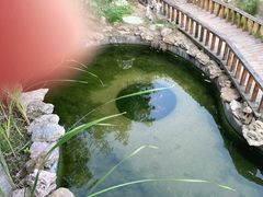 -中苑海韵