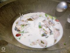 -鲜潭蒸汽石锅鱼(五道口购物中心店)