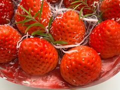 -Dark Horse·黑马蛋糕·低脂·低糖淡奶(金匙望湖大厦店)