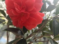 -潮名荟潮州菜馆(祈福缤纷世界店)