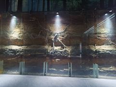 -二连浩特国家地质公园