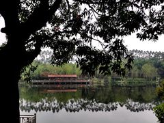 -琴亭湖公园