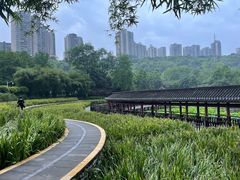 -龙头寺公园