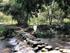 -福清灵石山国家森林公园