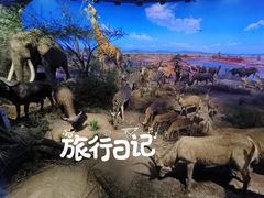 -重庆自然博物馆(新馆)