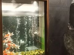 -浩运海鲜·16年专注青岛菜(石老人店)