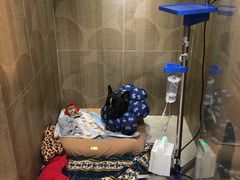 -宠爱国际动物医院·消化内科·心肾内科·ISFM猫友好(望京店)