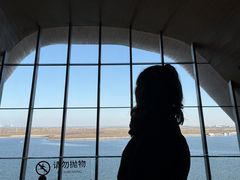 -抱抱地球咖啡馆(国家海洋博物馆店)