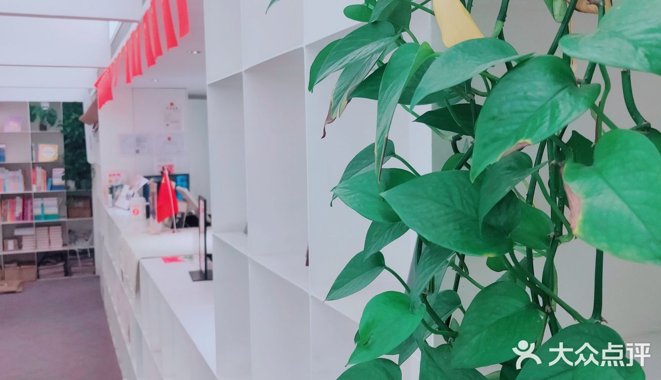 打卡一家佛系网红书店