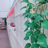 打卡一家佛系网红书店