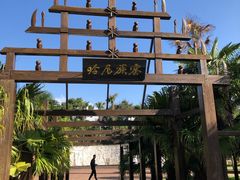 -云南民族村