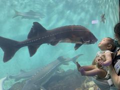 -太平洋海底世界