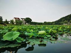 -龙寺生态园