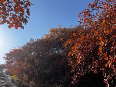 -北京西山国家森林公园