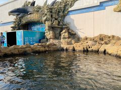 -秦皇岛乐岛海洋王国