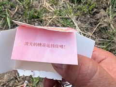 -水西公园