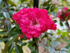 -人民公园(罗湖区)