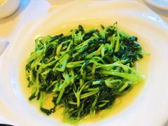 鸡毛菜-川香楼酒家