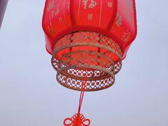 -绿野森林乐园冰雪季