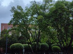 -四川大学(望江校区)