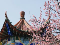 -开福禅寺