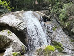 -牛背梁国家森林公园