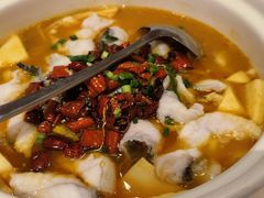 -蜀腾川·火锅鱼.烤鱼(新世界城店)
