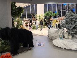 -IMON·HANSA潮玩玩偶毛绒玩具(通州万象汇店)