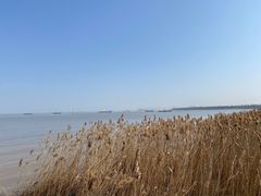 -上海吴淞炮台湾国家湿地公园