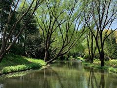 -上海滨江森林公园