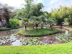 -中国科学院西双版纳热带植物园