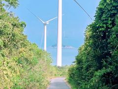 -花岙岛