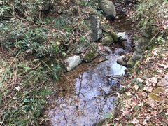 -会稽山峡洞漂流-上青古道