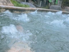 -大盘山温泉山庄