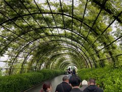 -济南植物园