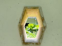 -广州兰圃
