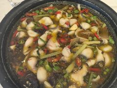 -蜀厨小匠·民间川菜(犀浦店)