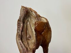 -章云板鸭(马道街店)