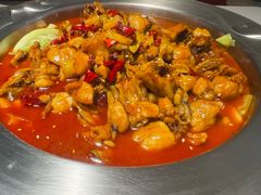 -美蛙四季(望京凯德茂店)