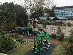 -上海佘山世茂艾美酒店