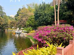 -晓港公园