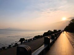 -深圳湾公园(南山区)