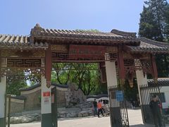 -团结湖公园