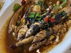 红烧溪鱼-王家厨房(新华路店)