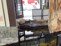 -伯乐居茶艺馆(石岐大信店)